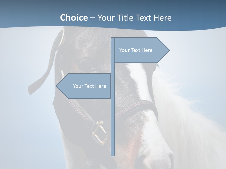 Horse Mare Face PowerPoint Template