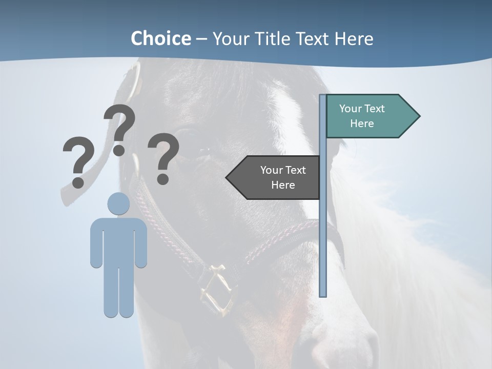 Horse Mare Face PowerPoint Template