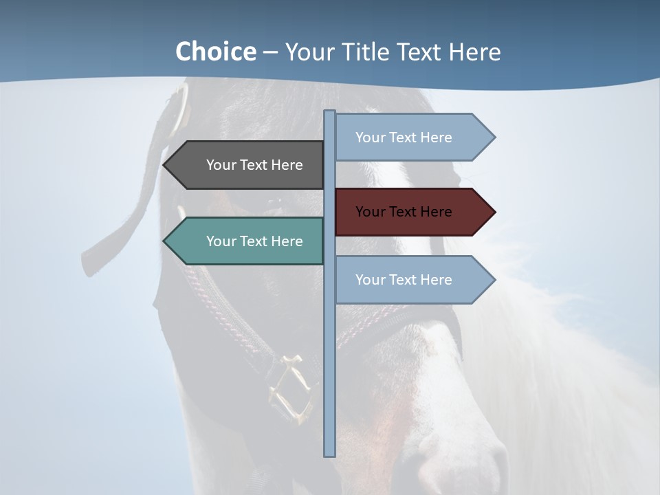 Horse Mare Face PowerPoint Template