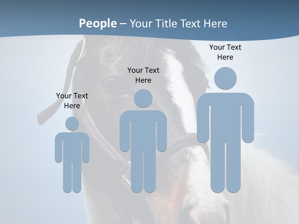Horse Mare Face PowerPoint Template