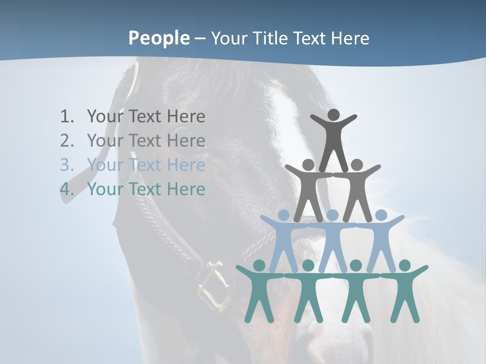 Horse Mare Face PowerPoint Template