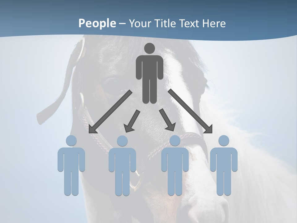 Horse Mare Face PowerPoint Template