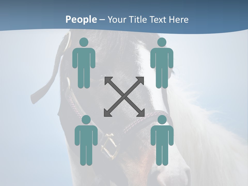 Horse Mare Face PowerPoint Template