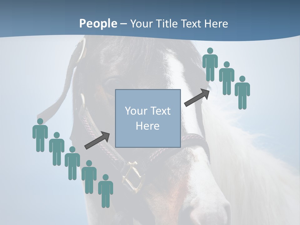 Horse Mare Face PowerPoint Template