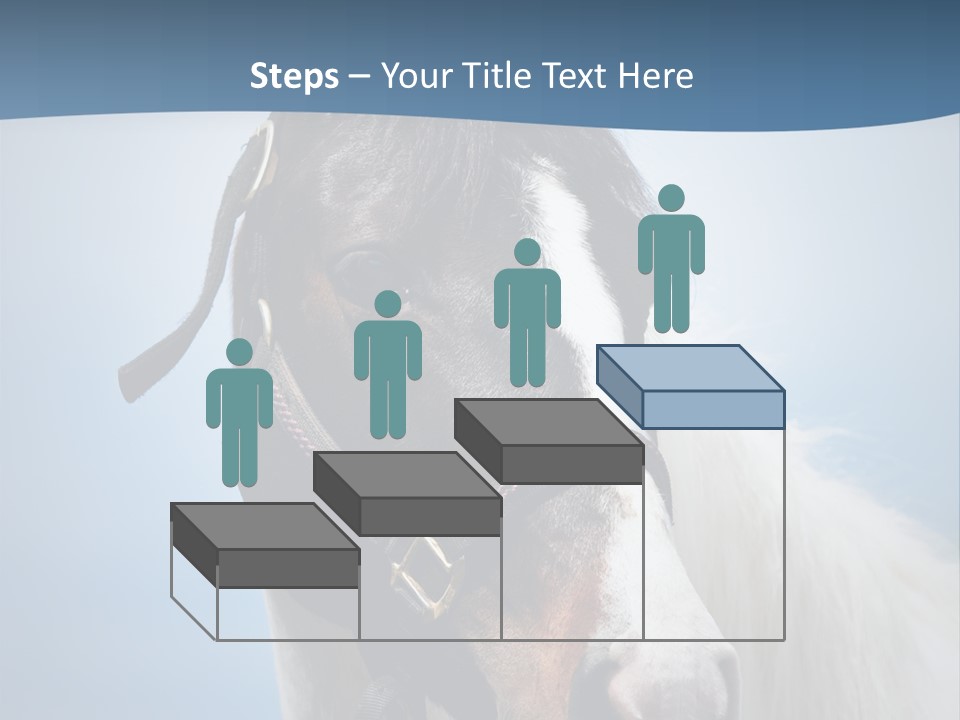 Horse Mare Face PowerPoint Template