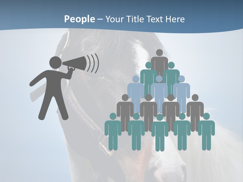 Horse Mare Face PowerPoint Template