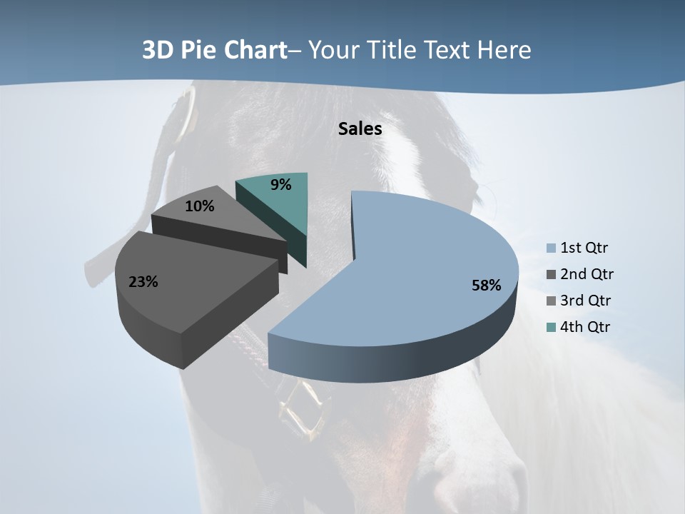 Horse Mare Face PowerPoint Template