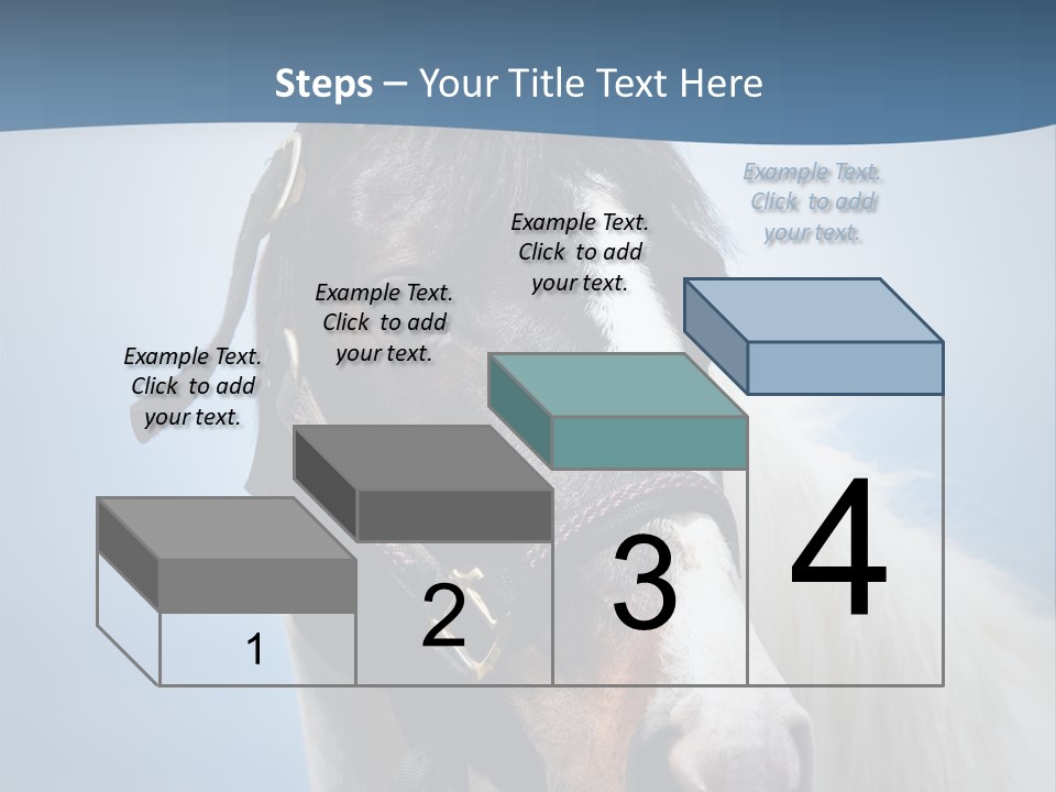 Horse Mare Face PowerPoint Template