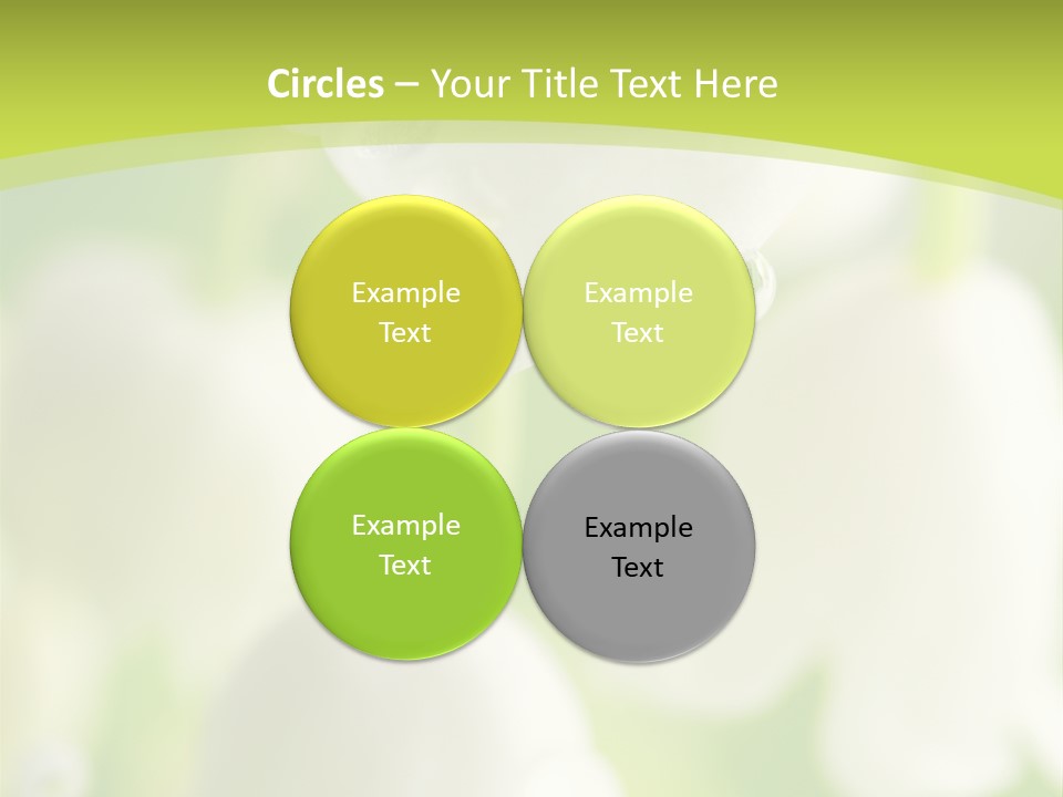 White Fragility Drop PowerPoint Template