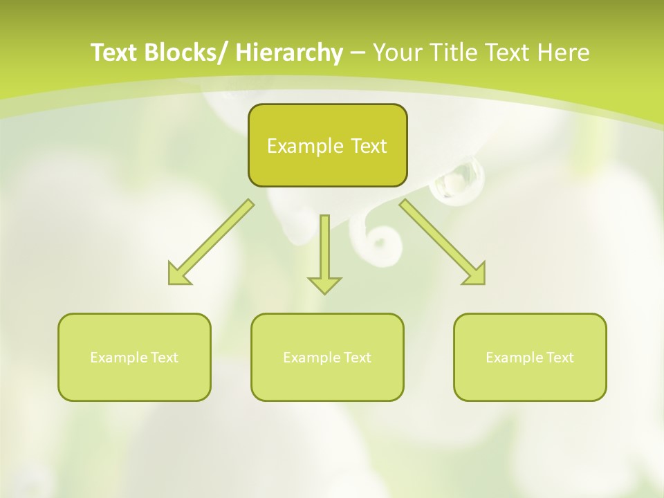 White Fragility Drop PowerPoint Template