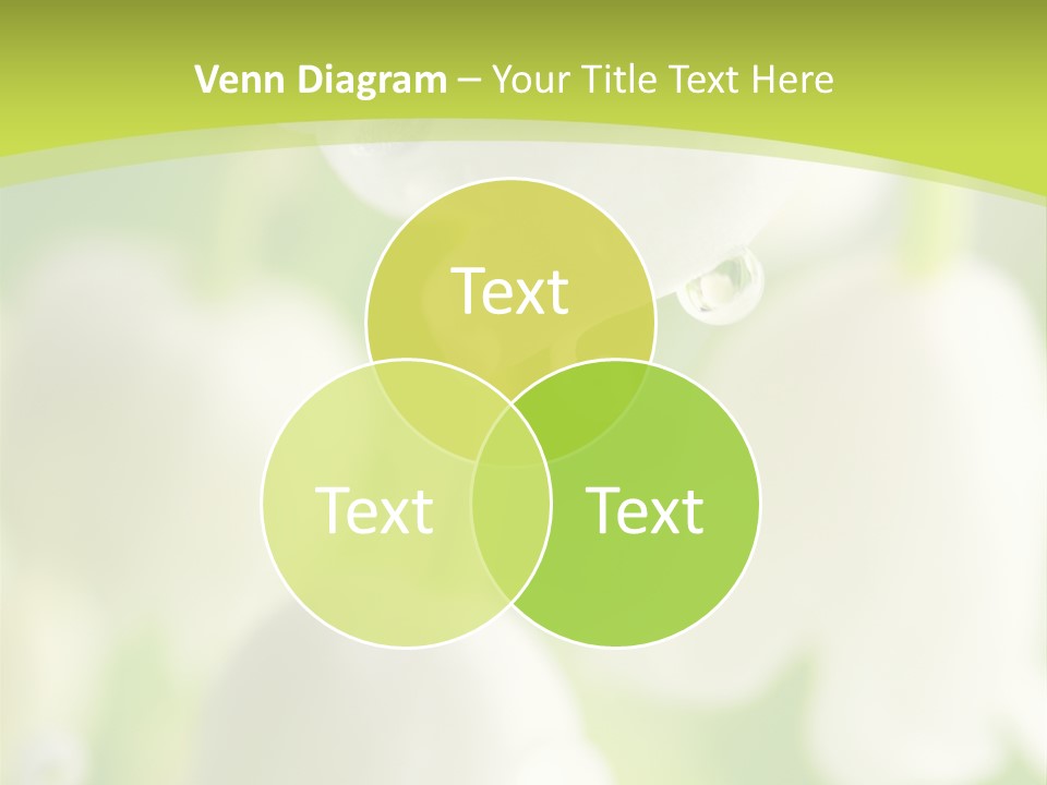 White Fragility Drop PowerPoint Template