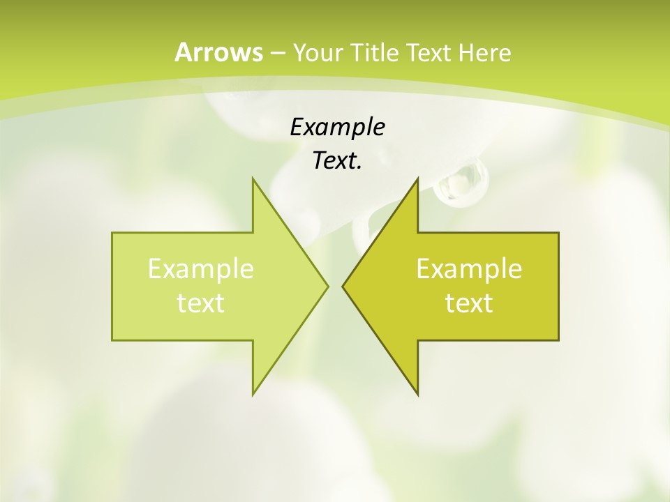 White Fragility Drop PowerPoint Template