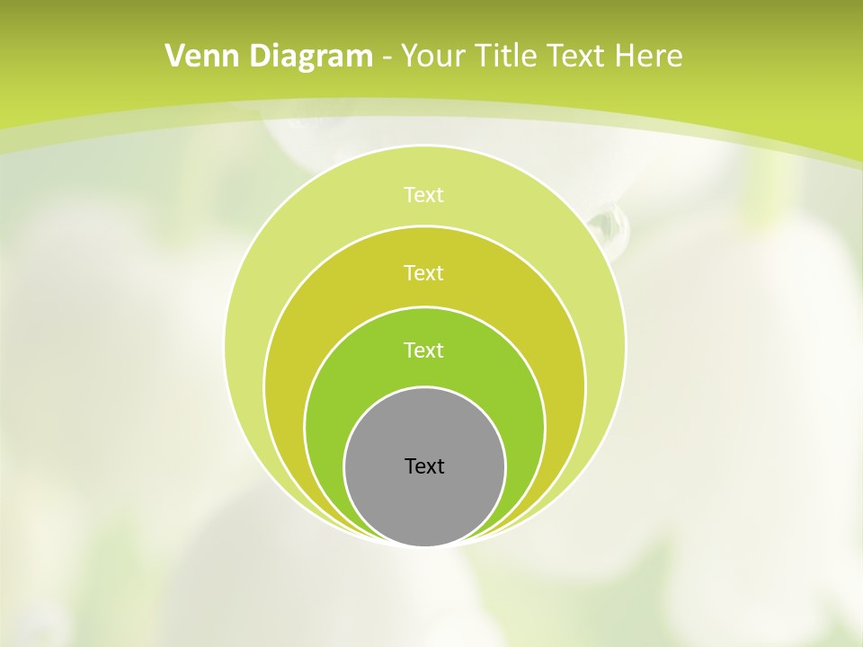 White Fragility Drop PowerPoint Template