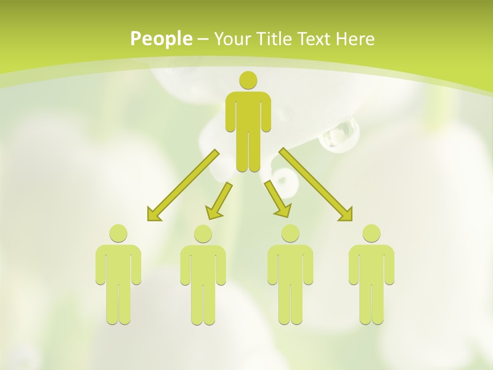 White Fragility Drop PowerPoint Template