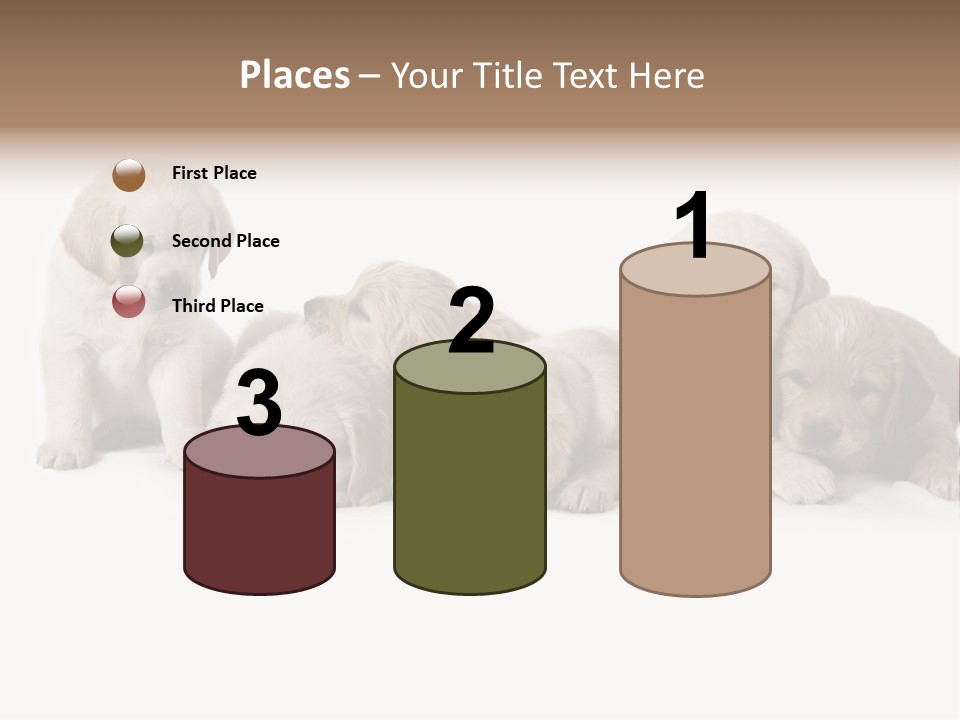 Mammal Portrait Retriever PowerPoint Template