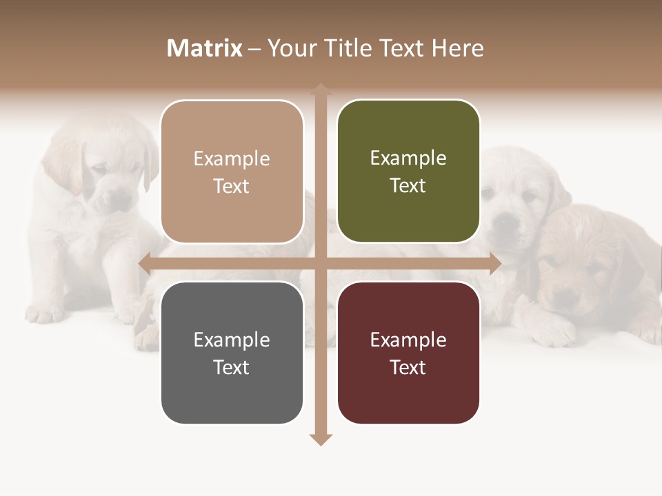 Mammal Portrait Retriever PowerPoint Template