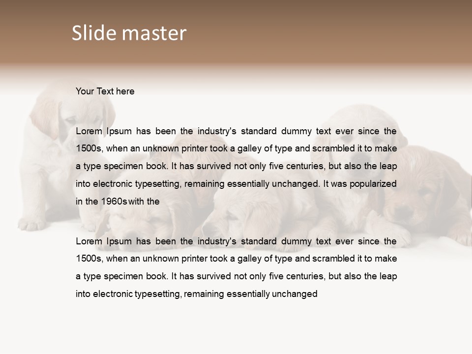 Mammal Portrait Retriever PowerPoint Template