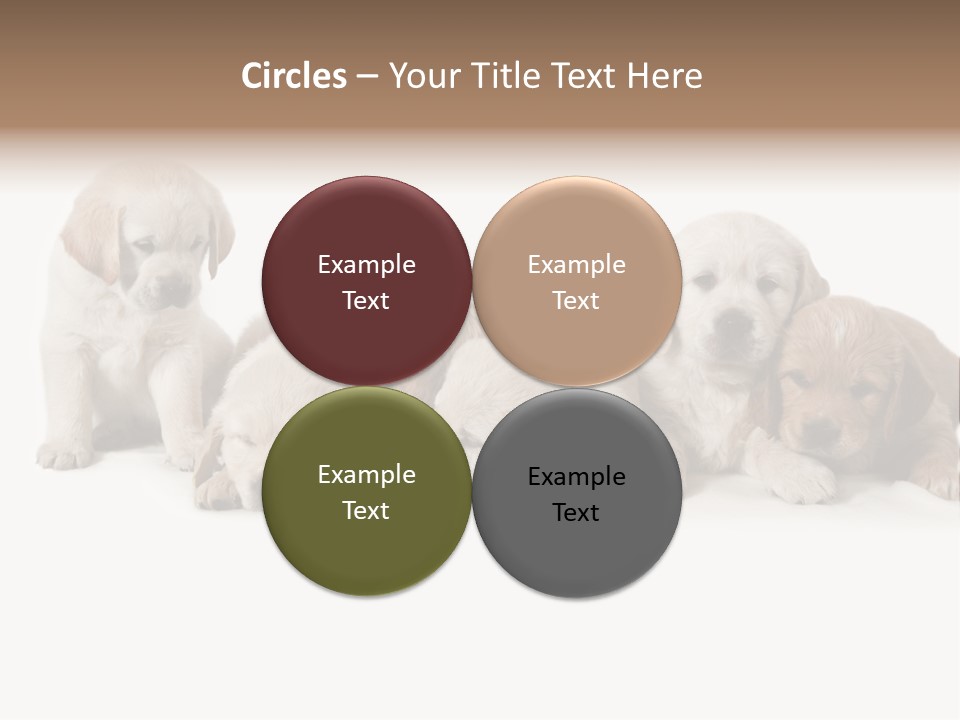 Mammal Portrait Retriever PowerPoint Template