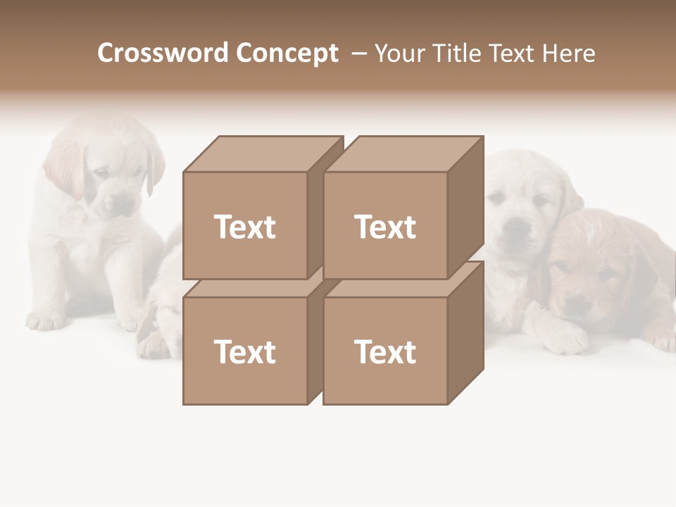 Mammal Portrait Retriever PowerPoint Template