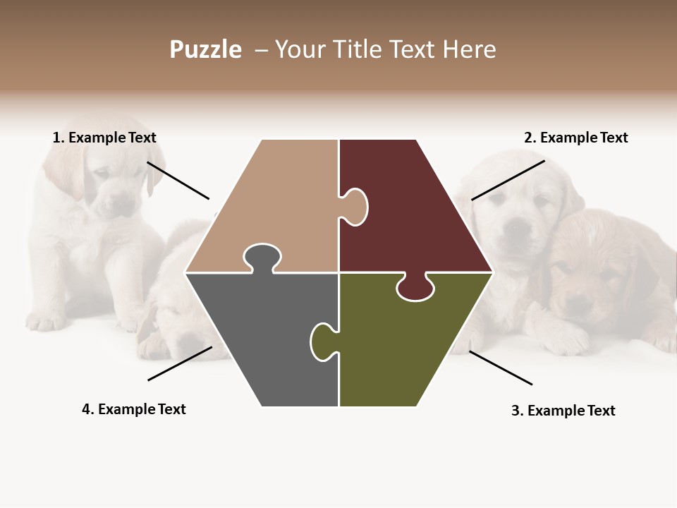 Mammal Portrait Retriever PowerPoint Template