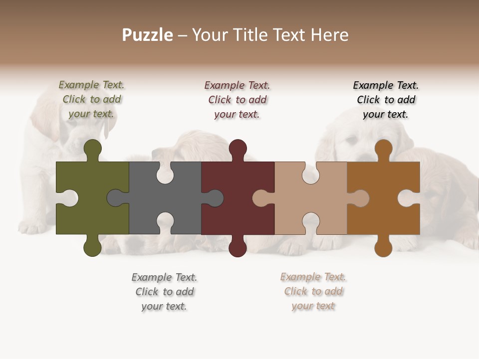 Mammal Portrait Retriever PowerPoint Template