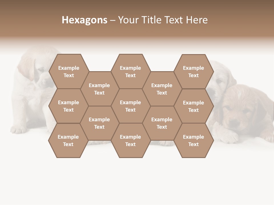 Mammal Portrait Retriever PowerPoint Template