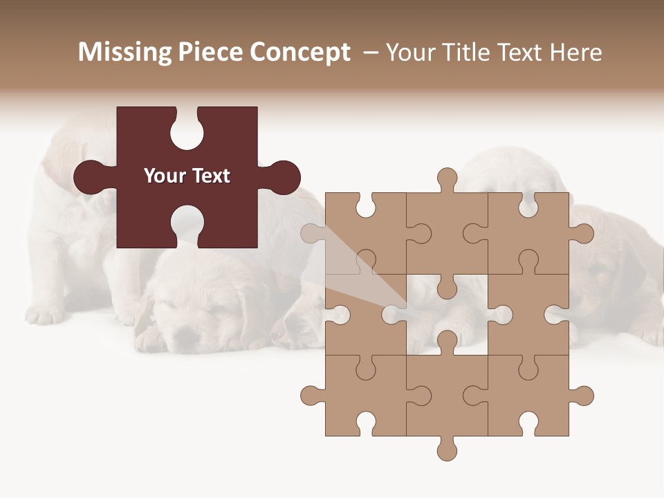 Mammal Portrait Retriever PowerPoint Template