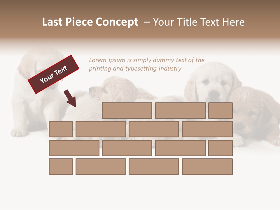 Mammal Portrait Retriever PowerPoint Template