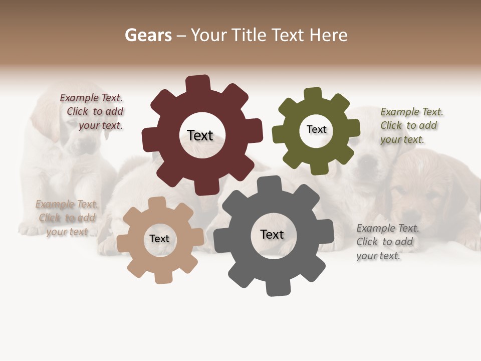 Mammal Portrait Retriever PowerPoint Template