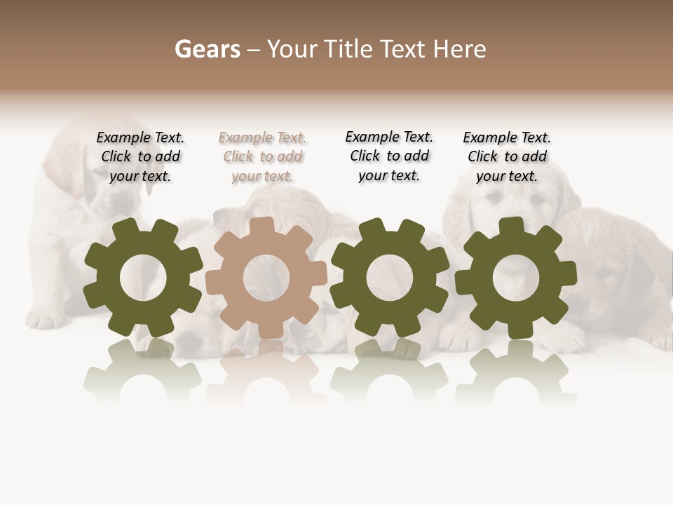 Mammal Portrait Retriever PowerPoint Template