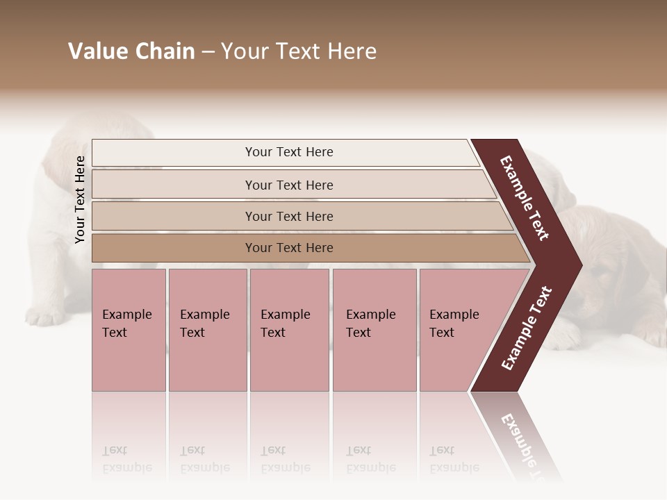 Mammal Portrait Retriever PowerPoint Template