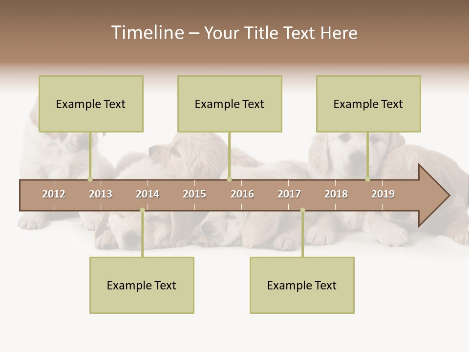 Mammal Portrait Retriever PowerPoint Template