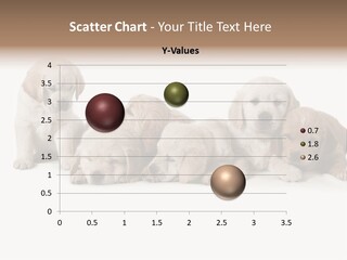 Mammal Portrait Retriever PowerPoint Template