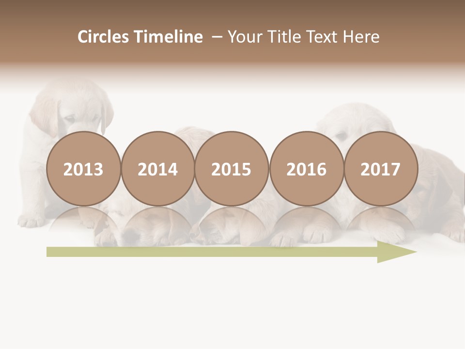 Mammal Portrait Retriever PowerPoint Template