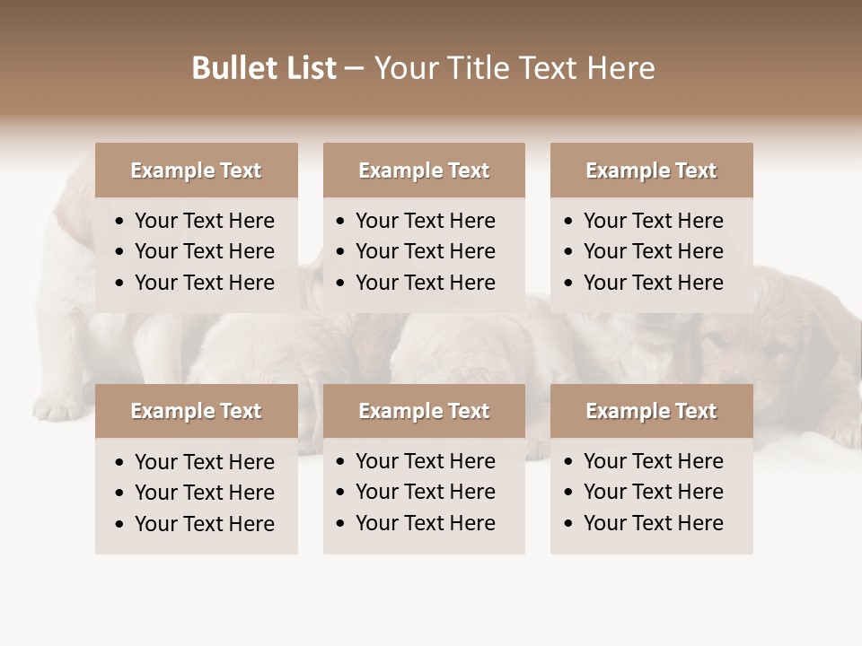 Mammal Portrait Retriever PowerPoint Template