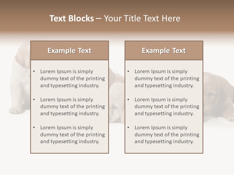 Mammal Portrait Retriever PowerPoint Template