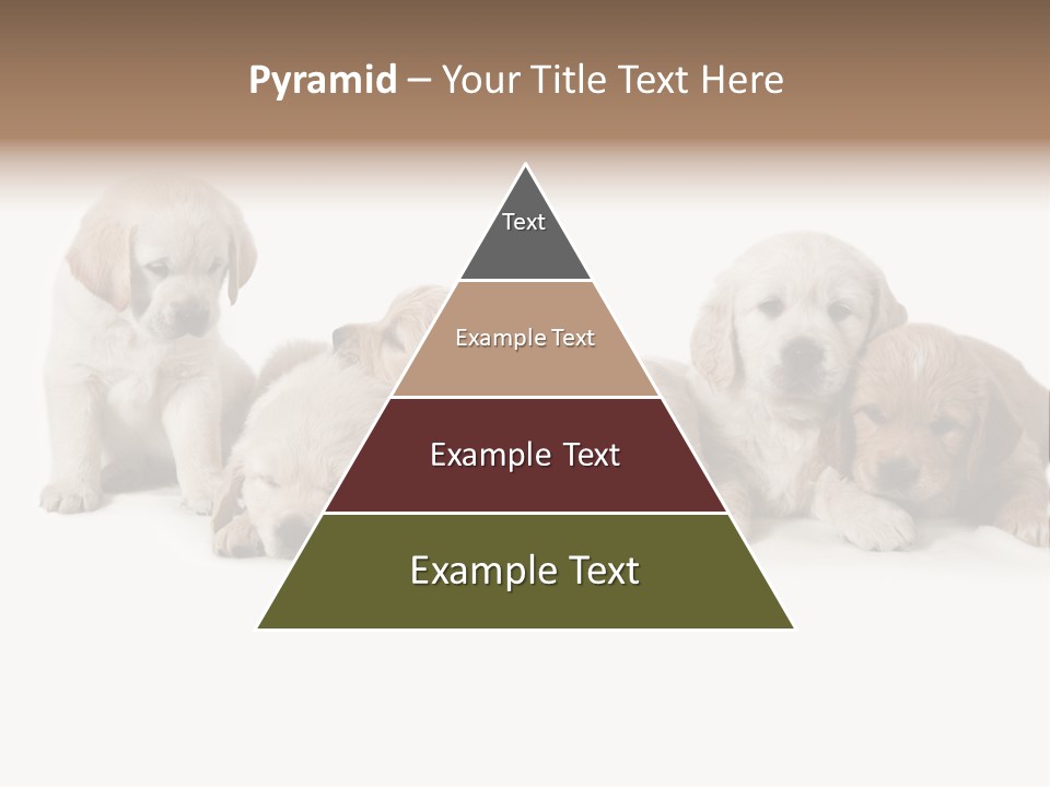 Mammal Portrait Retriever PowerPoint Template