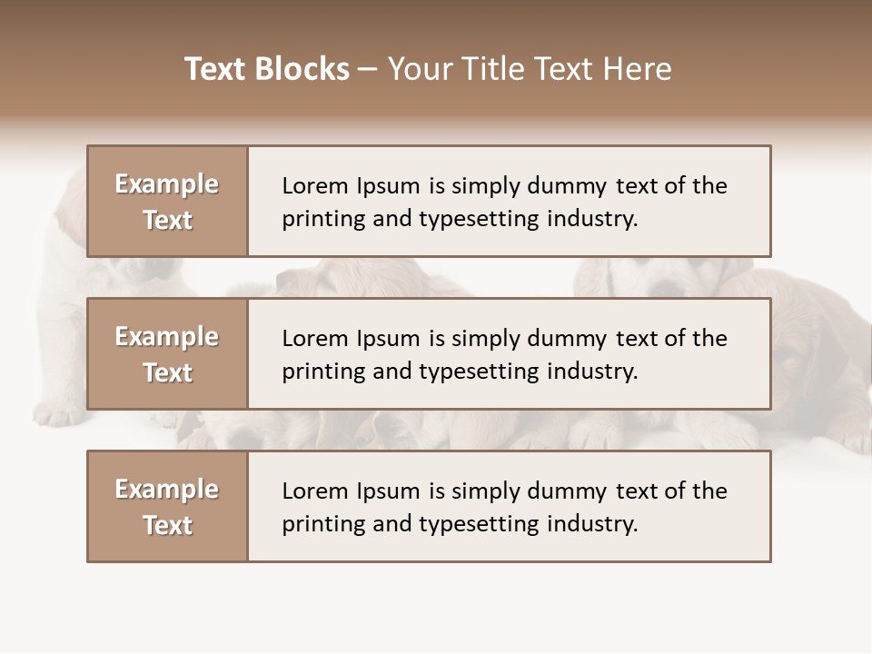 Mammal Portrait Retriever PowerPoint Template