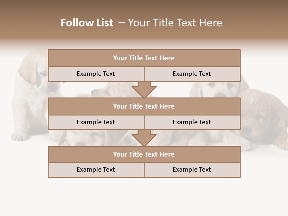 Mammal Portrait Retriever PowerPoint Template