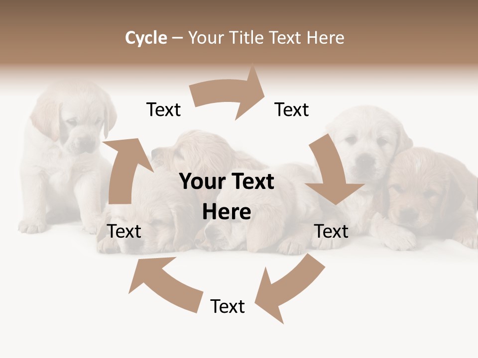 Mammal Portrait Retriever PowerPoint Template