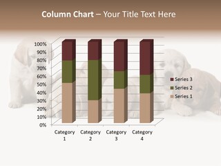 Mammal Portrait Retriever PowerPoint Template