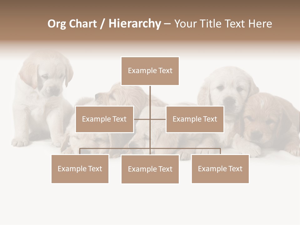 Mammal Portrait Retriever PowerPoint Template