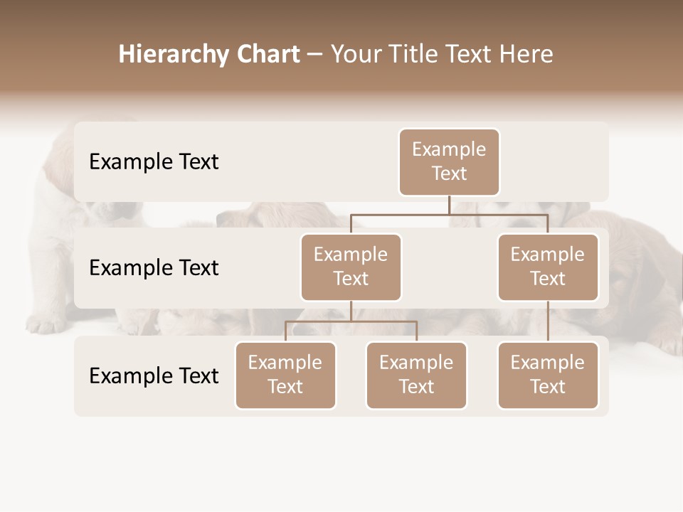 Mammal Portrait Retriever PowerPoint Template