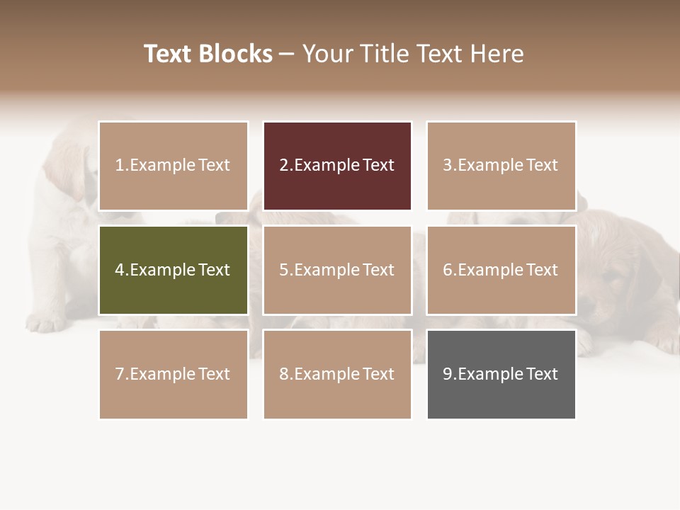 Mammal Portrait Retriever PowerPoint Template