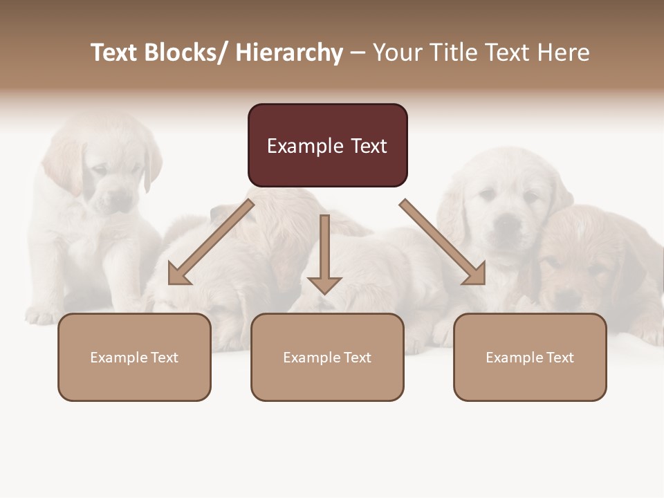 Mammal Portrait Retriever PowerPoint Template