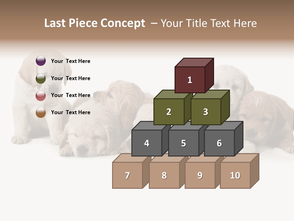 Mammal Portrait Retriever PowerPoint Template