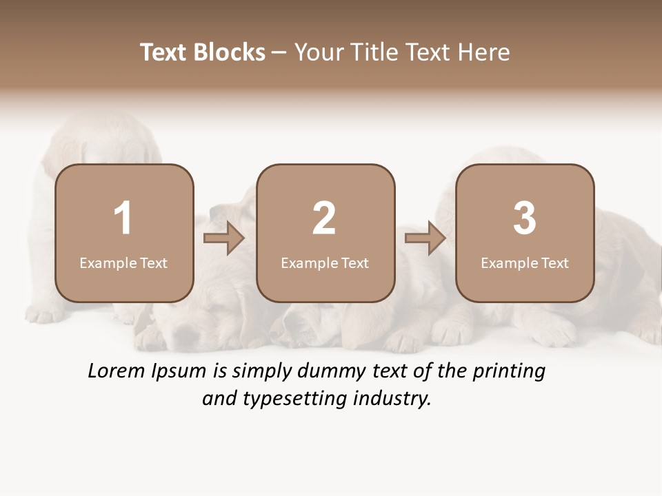 Mammal Portrait Retriever PowerPoint Template
