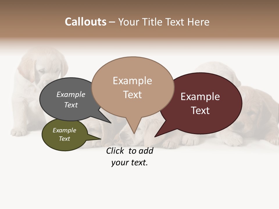 Mammal Portrait Retriever PowerPoint Template