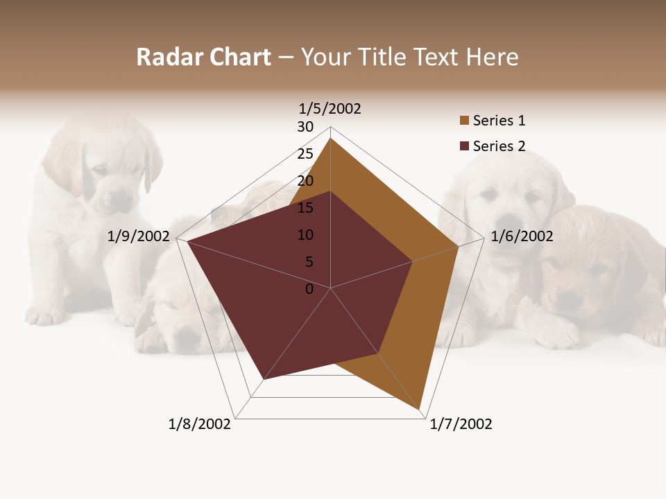 Mammal Portrait Retriever PowerPoint Template