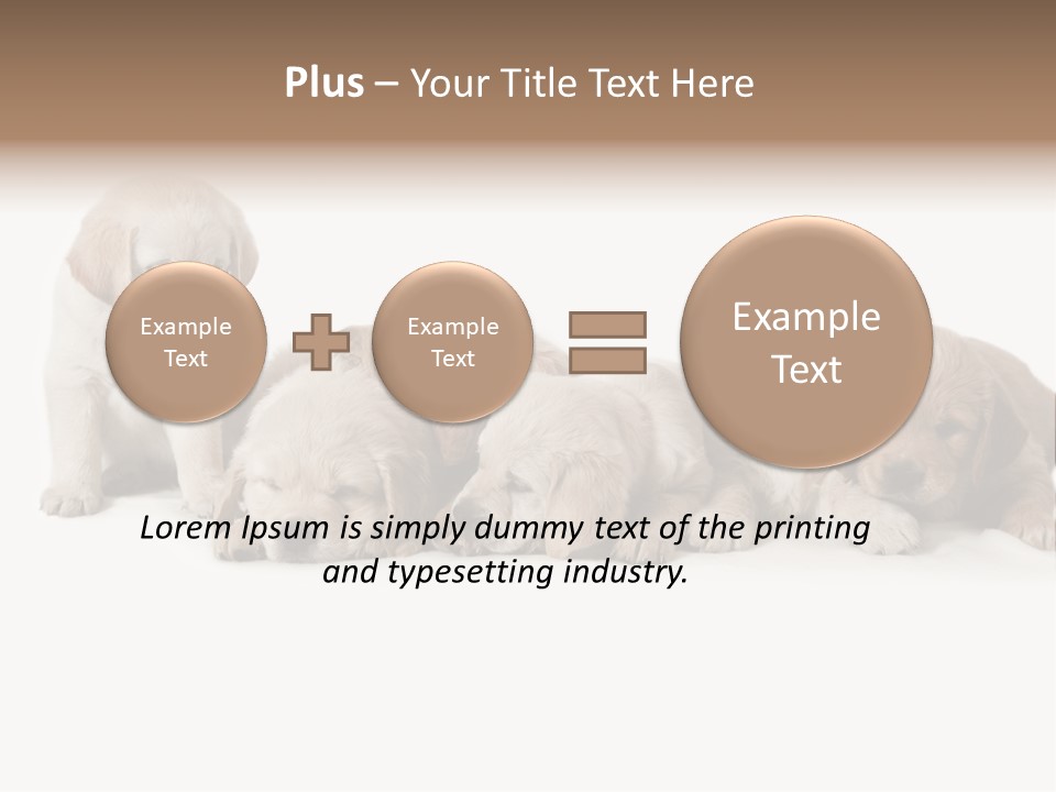 Mammal Portrait Retriever PowerPoint Template